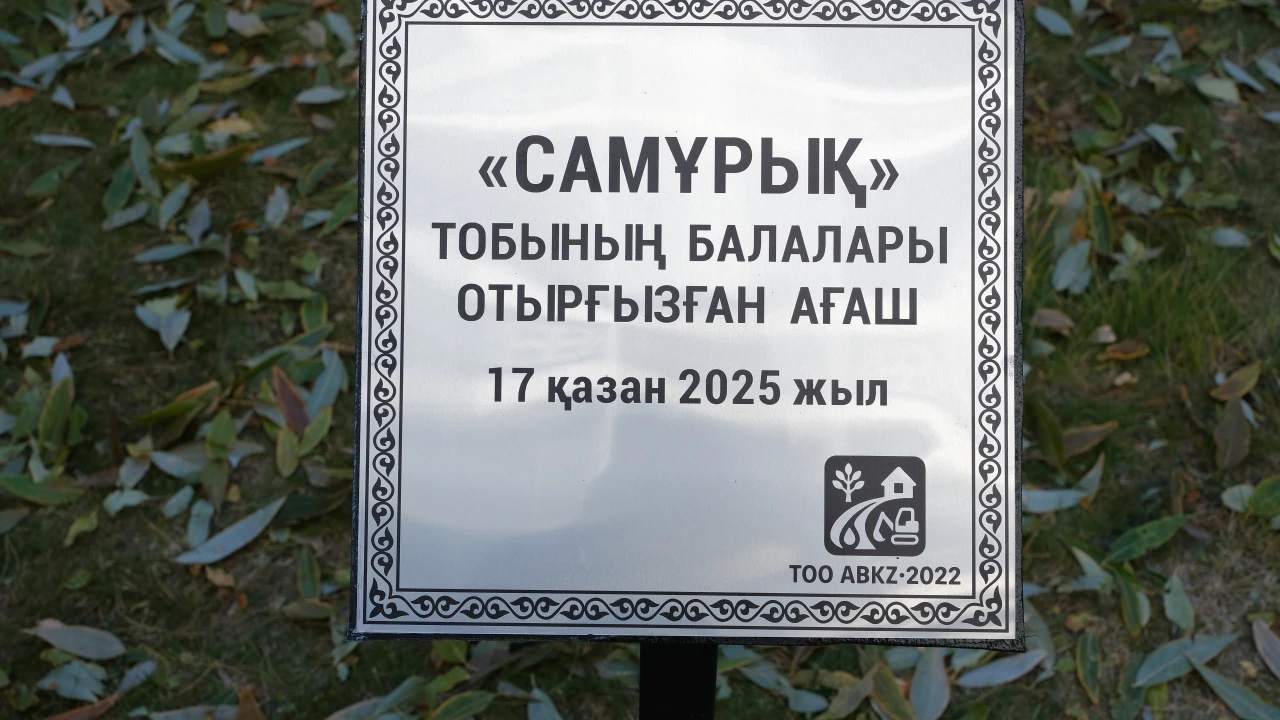 Посади дерево - подари будущее!