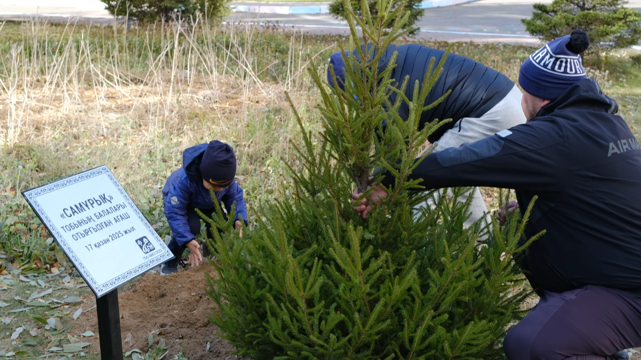 Посади дерево - подари будущее!