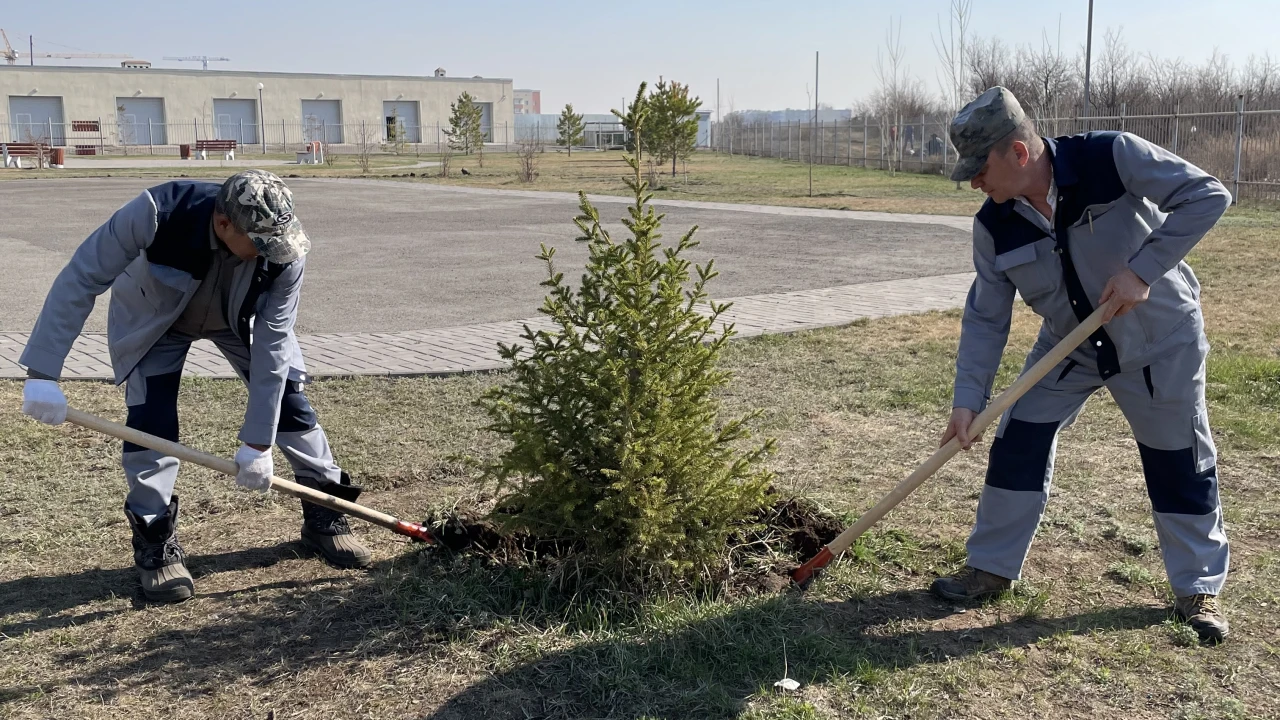 Общегородской субботник - «Жасыл Астана» 