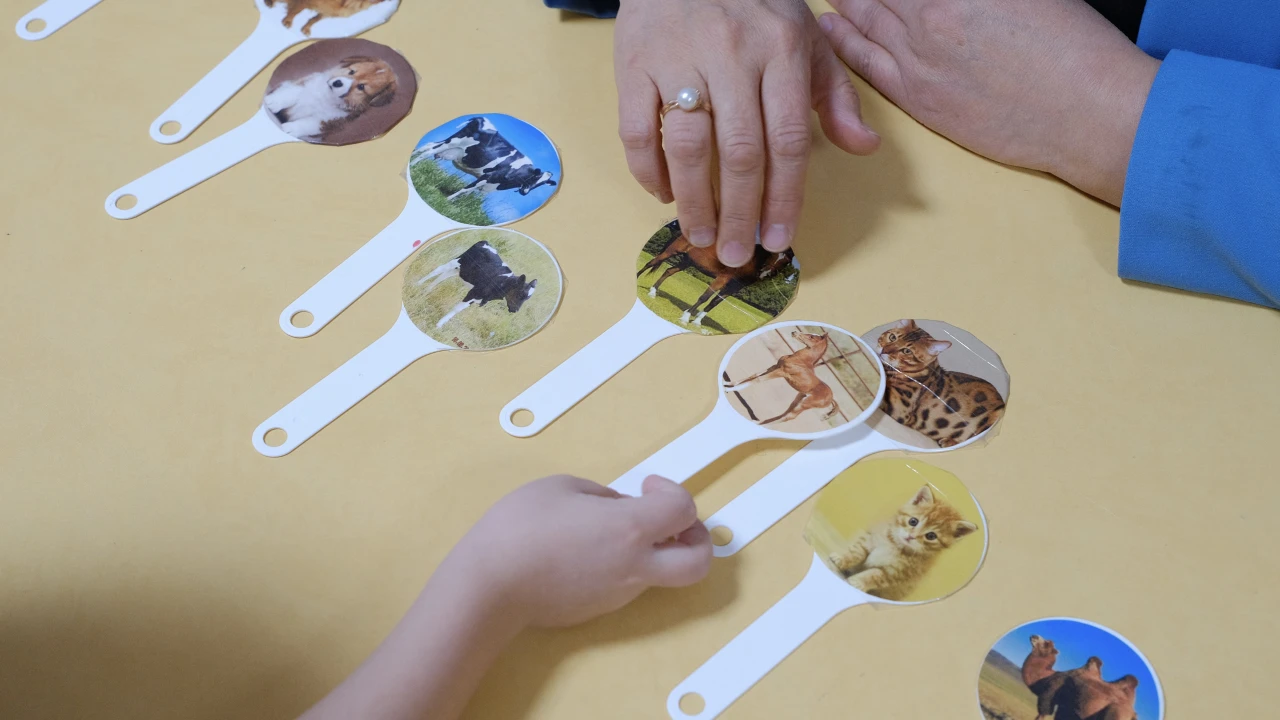 «Как быстро развить речь ребёнка с помощью современных методов?» 